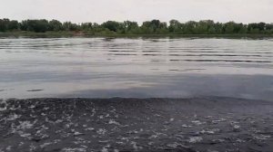 Теплоход Дмитрий Пожарский.2020.07.05.крайний день тура Самара Астрахань Самара