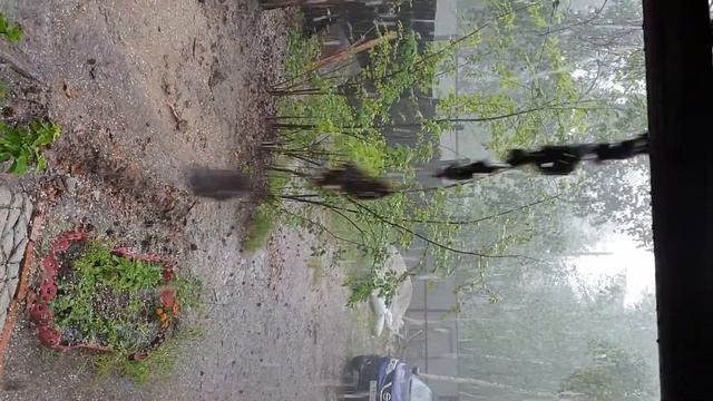 Сегодняшний ливень на даче (Якутск, 24.06.2020). смотреть онлайн