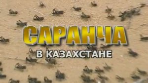 Видеофильм "Саранча в Казахстане"