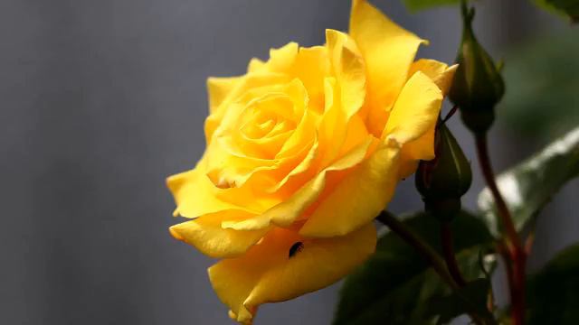 Хорошие русские хиты музыки и видео онлайн смотреть онлайн