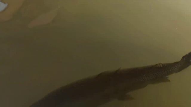 Поездка в Узбекистан часть 2 смотреть онлайн