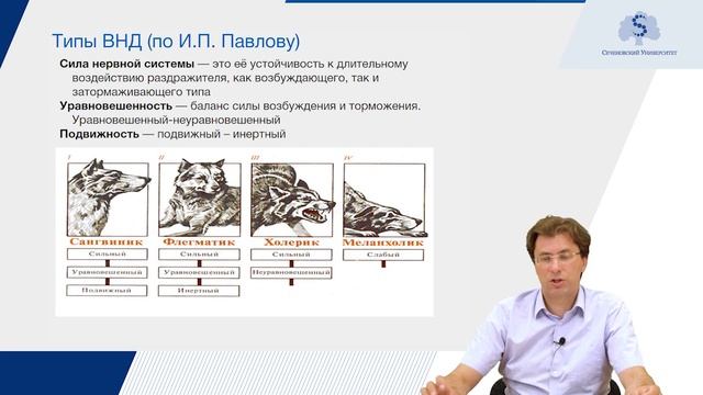 Торможение в высшей нервной деятельности, типы ВНД смотреть онлайн