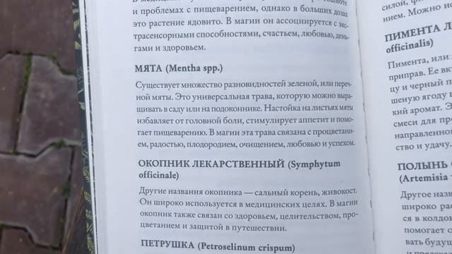 [читаLLка] Книга GREEN WITCH. смотреть онлайн