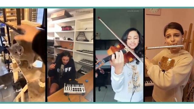 Alugalug Cat X Kiffness X Violin X Flute By Aksinia Khomenko