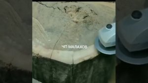 Альфа диски. Диски для шлифовки дерева. Шлифовально обдирочный круг