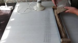 Кормление перепелят первые сутки.