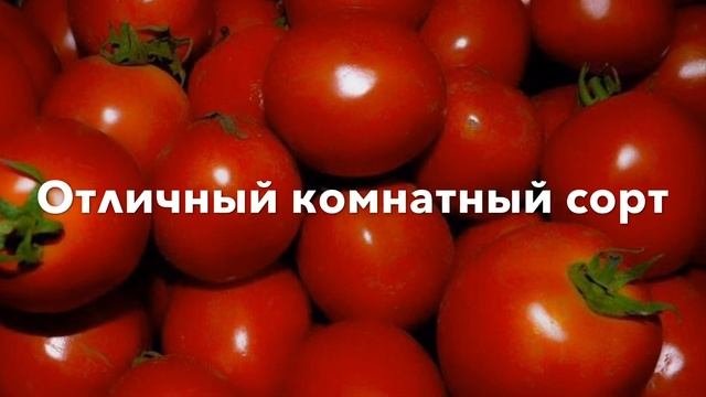 Овощи на балконе