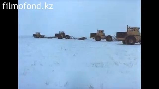 Интенсивная технология возделывания яровой пшеницы, 1986 год