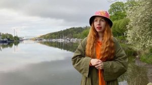 Как выучить шведский язык бесплатно | Рыжий Гид и семь способов изучения шведского в Швеции с нуля