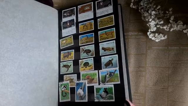My collection of stamps _ Коллекционные марки смотреть онлайн