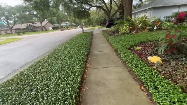 Опять дерево пилить нужно??? смотреть онлайн