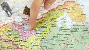 Карелия. Видео уроки по географии России