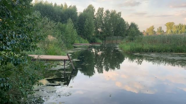Хорошо летом на речке!