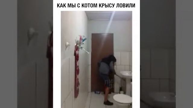 Как мы с котом ловим мышь?