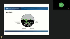 17.01.2022 Консультация по кейсу "Биосорбенты"