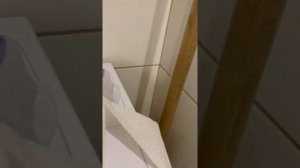 Постельное белье Поплин | Отзыв