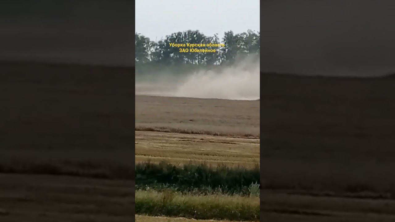 Уборка 2023 Курская область Claas tucano 450 Юбилейное смотреть онлайн