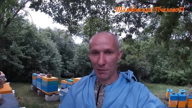 27 мая - Роение на пасеке! смотреть онлайн