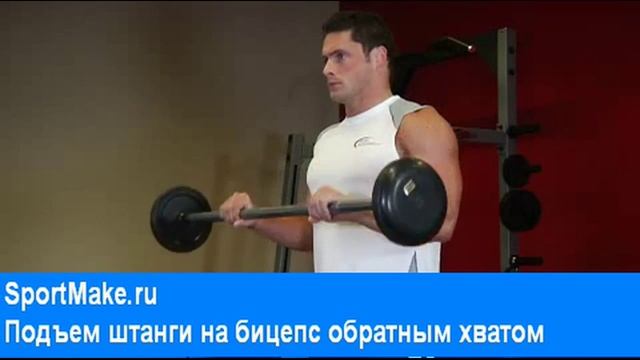 подъем штанги на бицепс обратным хватом смотреть онлайн