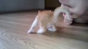 ПОЧЕМУ КОТЕНОК ПЛОХО ХОДИТ И ШАТАЕТСЯ