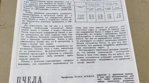 Долгоживущая пчела. Основы и принципы формирования. Ч. 5.  МИФ ИЛИ РЕАЛЬНОСТЬ???