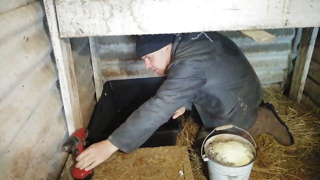 Зольная ванна для кур в зимнее время!) смотреть онлайн