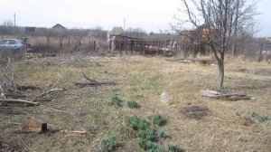 Купили запущенный участок!!! Купили дачу. Будем делать из него дачу!!!