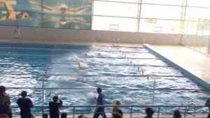 Чемпионат по плаванию в Лотошино
