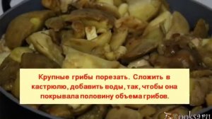 Маслята, замороженные на зиму