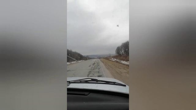 Приобрели эдильбаевских овец на племя|Овцеводство смотреть онлайн