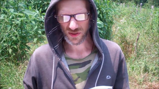 Рассказ Владимира Смирнова - "Убийца" читает автор смотреть онлайн