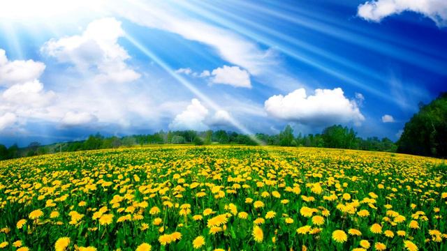 "Мы ЯВЛЯЕМСЯ ТЕМ, ЧТО ЕДИМ" - относится как к телу, так и к уму! смотреть онлайн