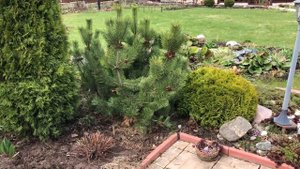 Горка или сад в миниатюре