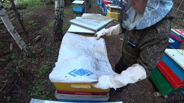 КОГДА СТАВИТЬ СЛЕДУЮЩИЙ МАГАЗИН ПОД МЁД, КАК И КАКИМ СЕМЬЯМ смотреть онлайн