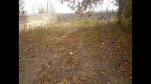 Прогулка по лесу Липецкой области(после свинной чумы)Часть 1