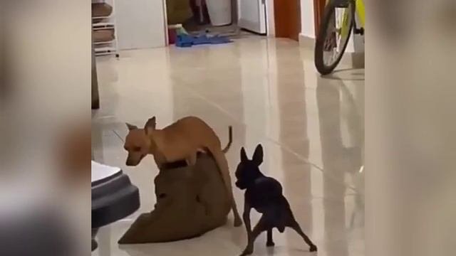 Воспоминания