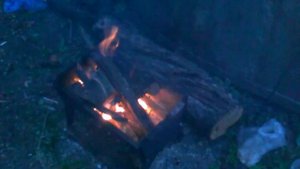 Кижуч в фольге