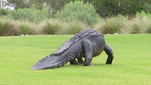 When Animals Go On A Rampage