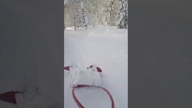 готовим лыжню для беговых лыж смотреть онлайн