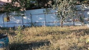 Когда снимать вторые корпуса?