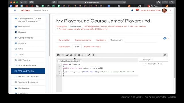 Simple Virtual Programming Lab Example: Java