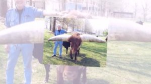 Топ 10. Самые Необычные Рекорды Гиннеса