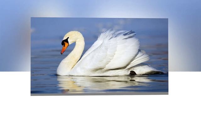 ► Красивая музыка ☀️ Игорь Крутой смотреть онлайн