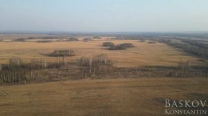 Природа Кузбасса