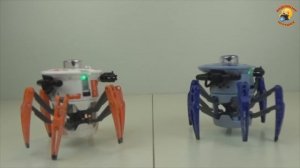 Battle Spider игровой набор Hexbug