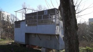 ГОЛУБЕВОДСТВО Москвы и Области. Последние из " Магикан"#tauben#pigeon#голуби#голубеводство