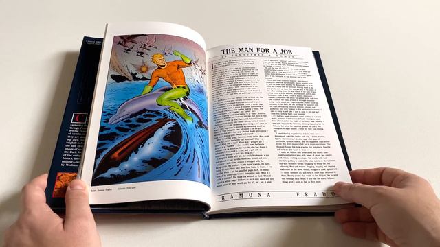 Обзор книги: History of the DC universe (Graphitti Designs) смотреть онлайн