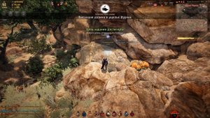 Black Desert исследовательская точка 2