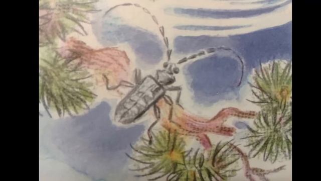 В. Бианки «Кто чем поет?» смотреть онлайн