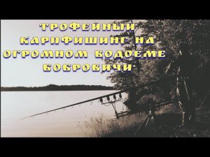 Трофейный карпфишинг на огромном водоёме Бобровичи, Беларусь.